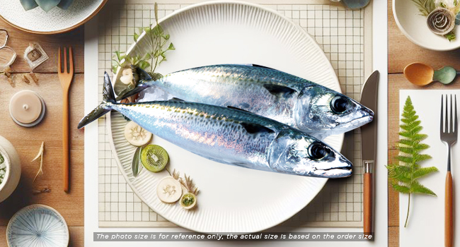 MACKEREL