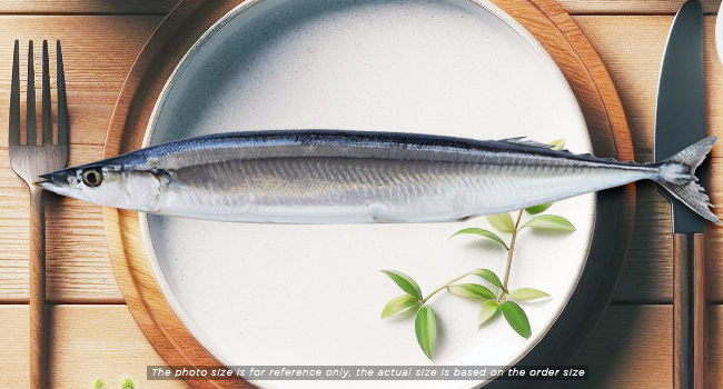 PACIFIC SAURY