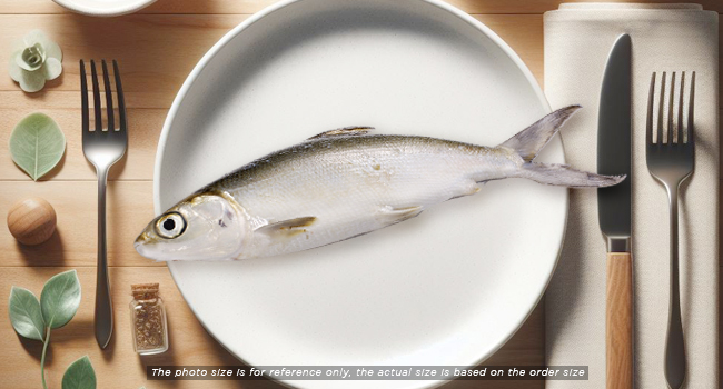 MILK FISH