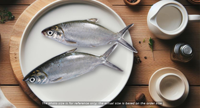 MILK FISH