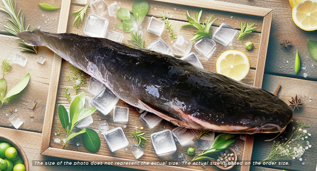 CATFISH