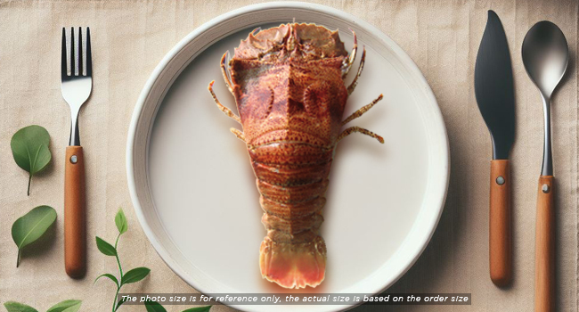 SLIPPER LOBSTER