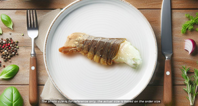 SLIPPER LOBSTER