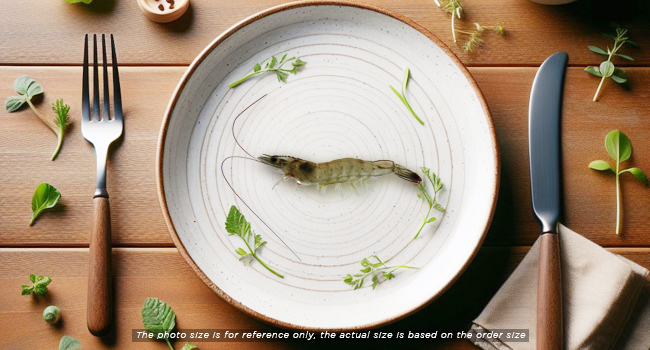WHITE SHRIMP